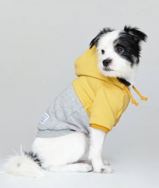 플로트 컬러블록후드 강아지옷 옐로우그레이