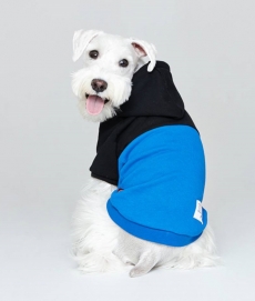 플로트 컬러블록후드 강아지옷 블루블랙